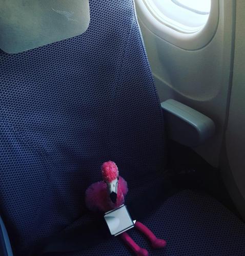 Pinko prend l'avion pour  Melbourne